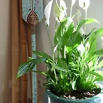Maison En Mediterrannee Holiday home *