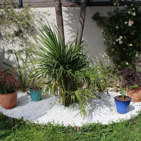 Feriehus Maison En Mediterrannee Mireval