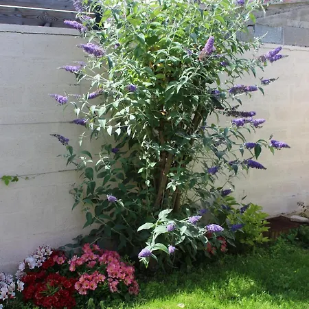 Feriehus Maison En Mediterrannee *